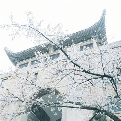 第29届上海电视节“白玉兰绽放”颁奖典礼在临港演艺中心举行